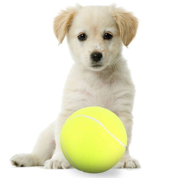 Dog Tennis Ball Large Pet Toys Funny Outdoor Sports Dog Ball