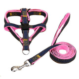 Dog  Harness Leash Set Heavy Duty Denim Dog Leash Collar, 1 Set